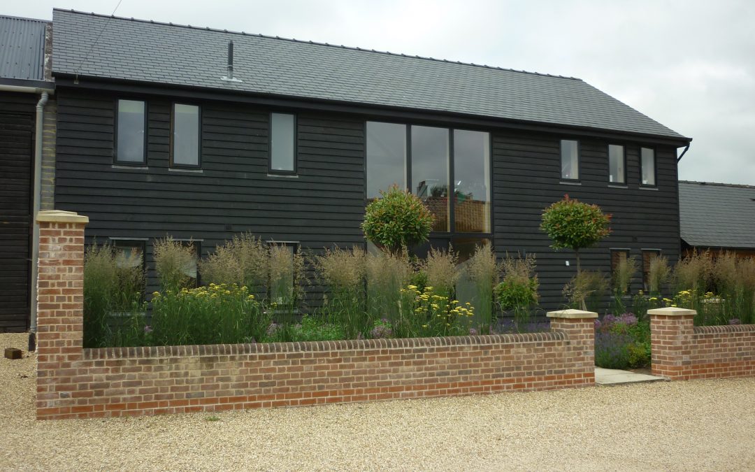 Yew Tree