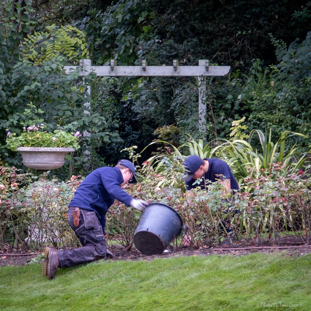 Garden Maintenance Saffron Walden