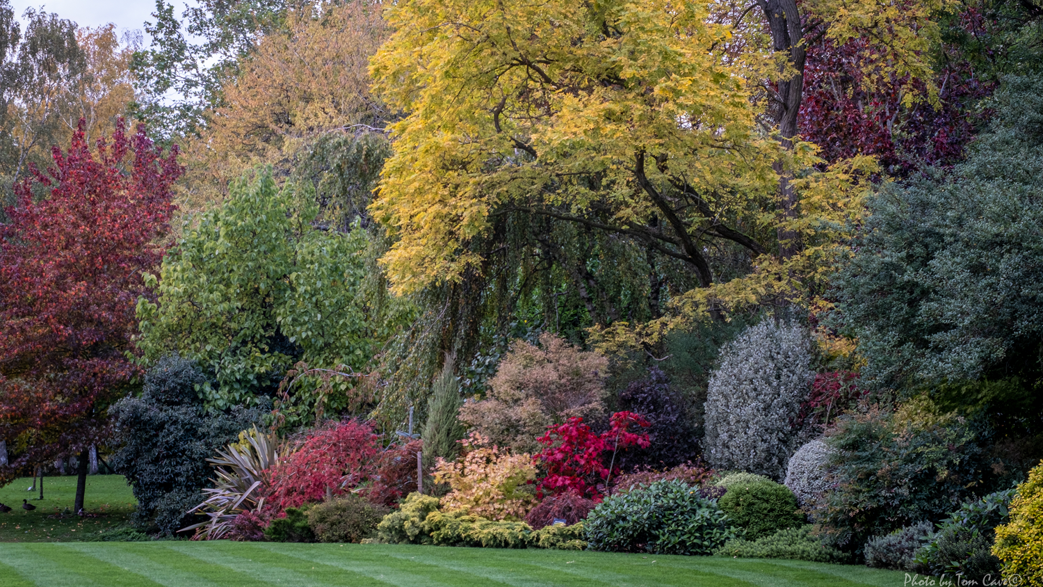 manor_ickleton