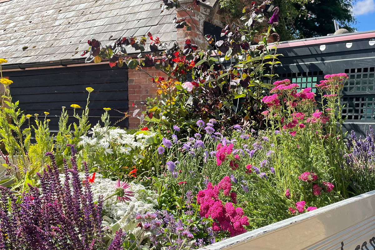 planting_design_saffron_walden