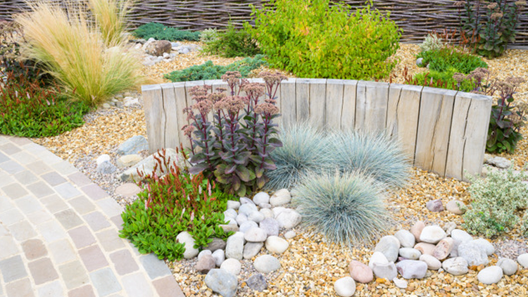 dry_garden_design_cambridge